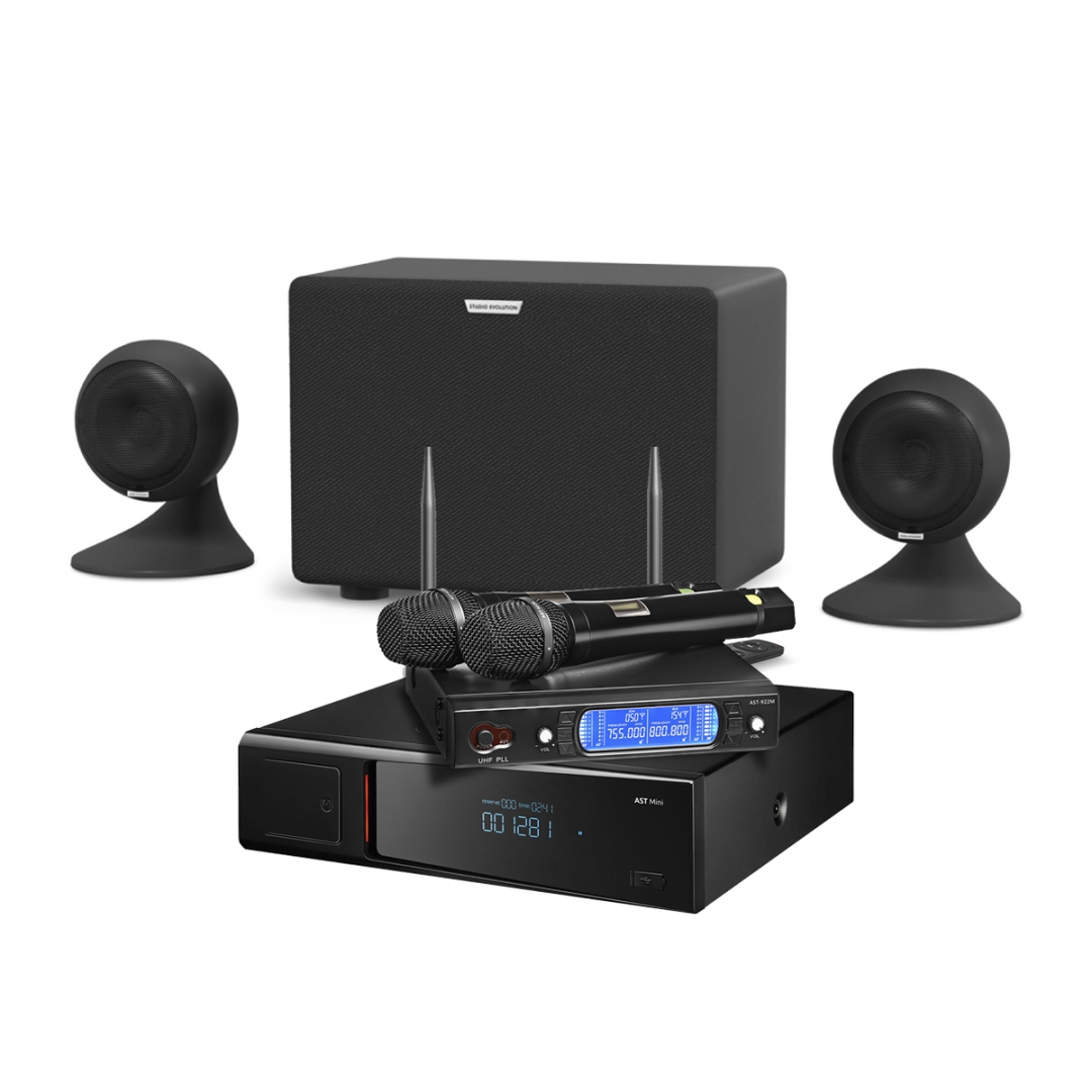 караоке-комплект AST Mini Sound Sphere в Ростове-на-Дону