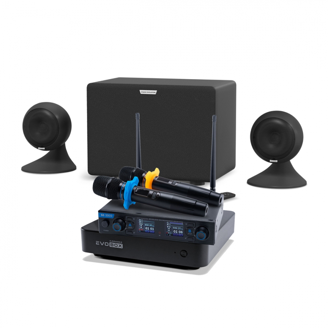 караоке-комплект EVOBOX + EvoSound Sphere 2.1 в Ростове-на-Дону