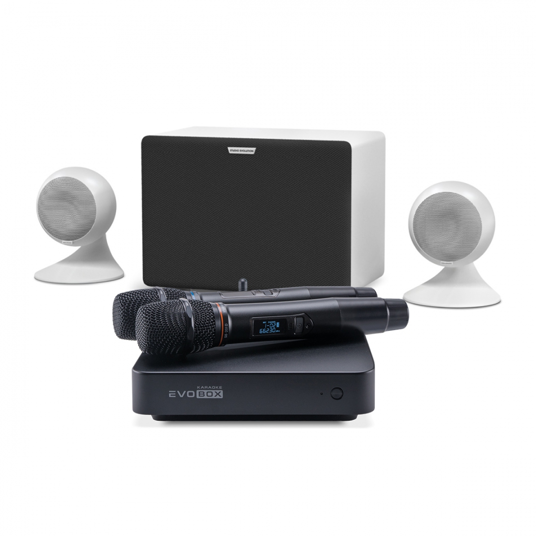караоке-комплект EVOBOX Classic + EvoSound Sphere 2.1 в Ростове-на-Дону