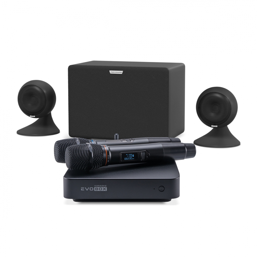 караоке-комплект EVOBOX Plus + EvoSound Sphere 2.1 в Ростове-на-Дону
