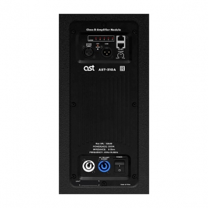 Активная акустическая система AST-310A в Ростове-на-Дону
