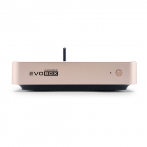 EVOBOX Plus караоке-система для дома в Ростове-на-Дону