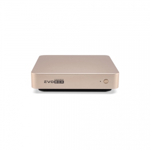 EVOBOX с микрофонами в Ростове-на-Дону